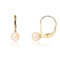 une paire de boucles d’oreilles en perles