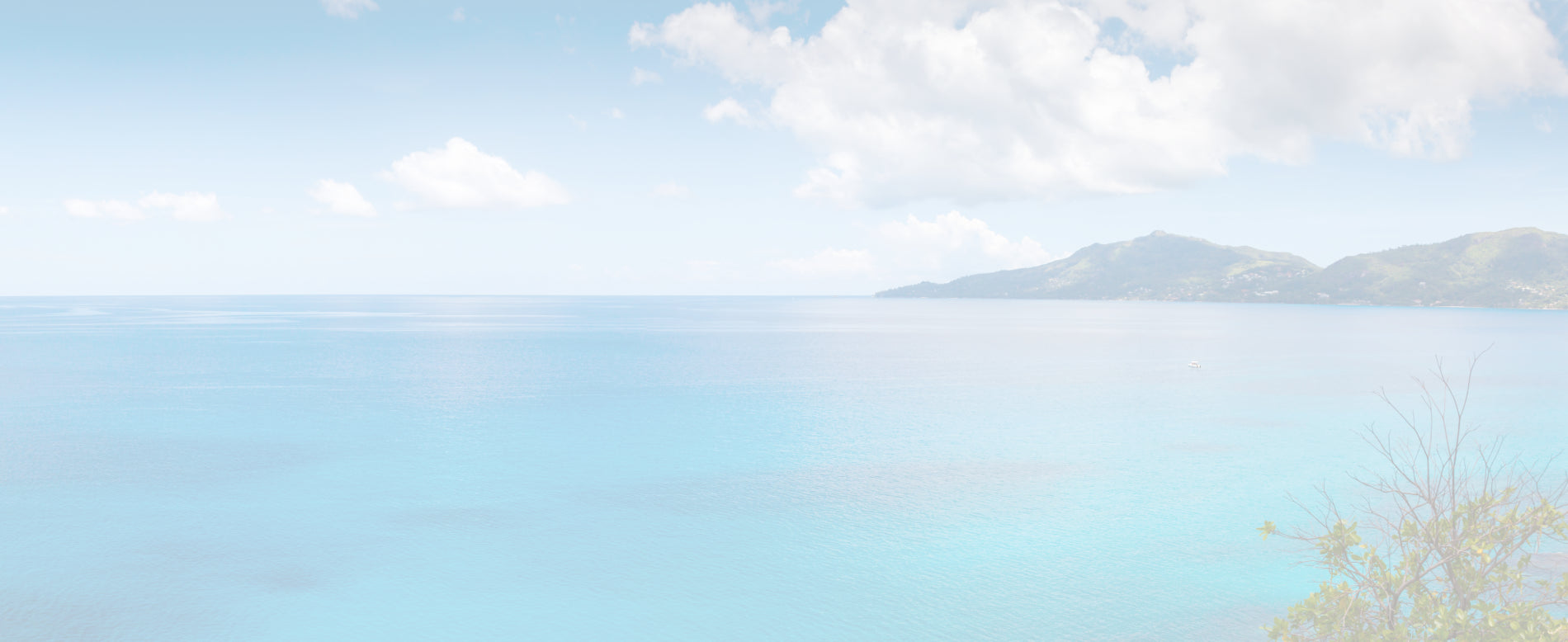 collections perles de Tahiti