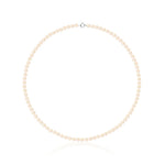 Collier Ras du Cou Petites Perles - Vignette | Inspirations