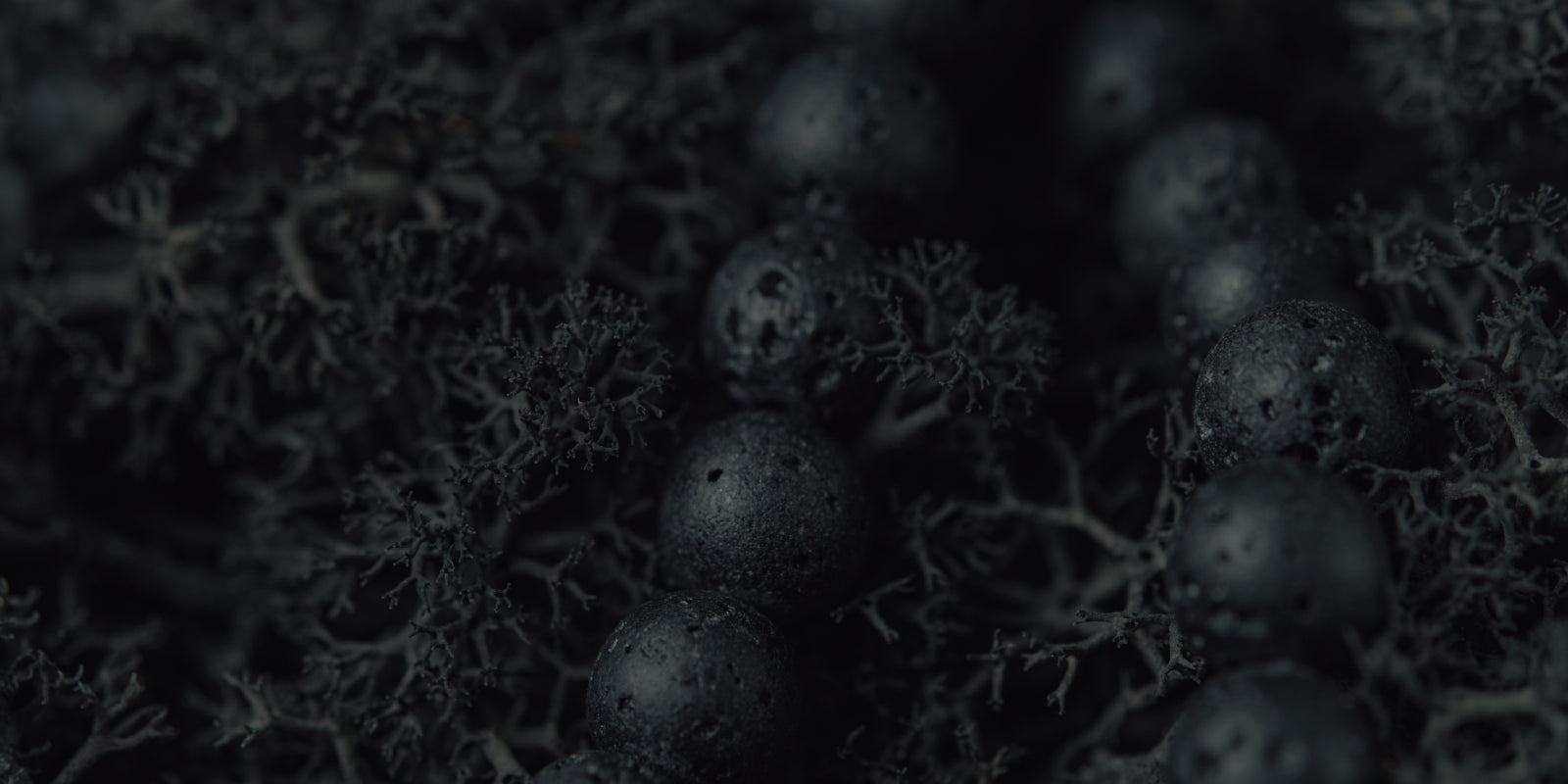 collections perles noires