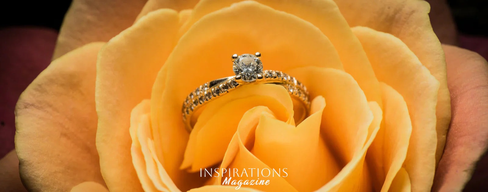 Bague de fiançailles dans une rose