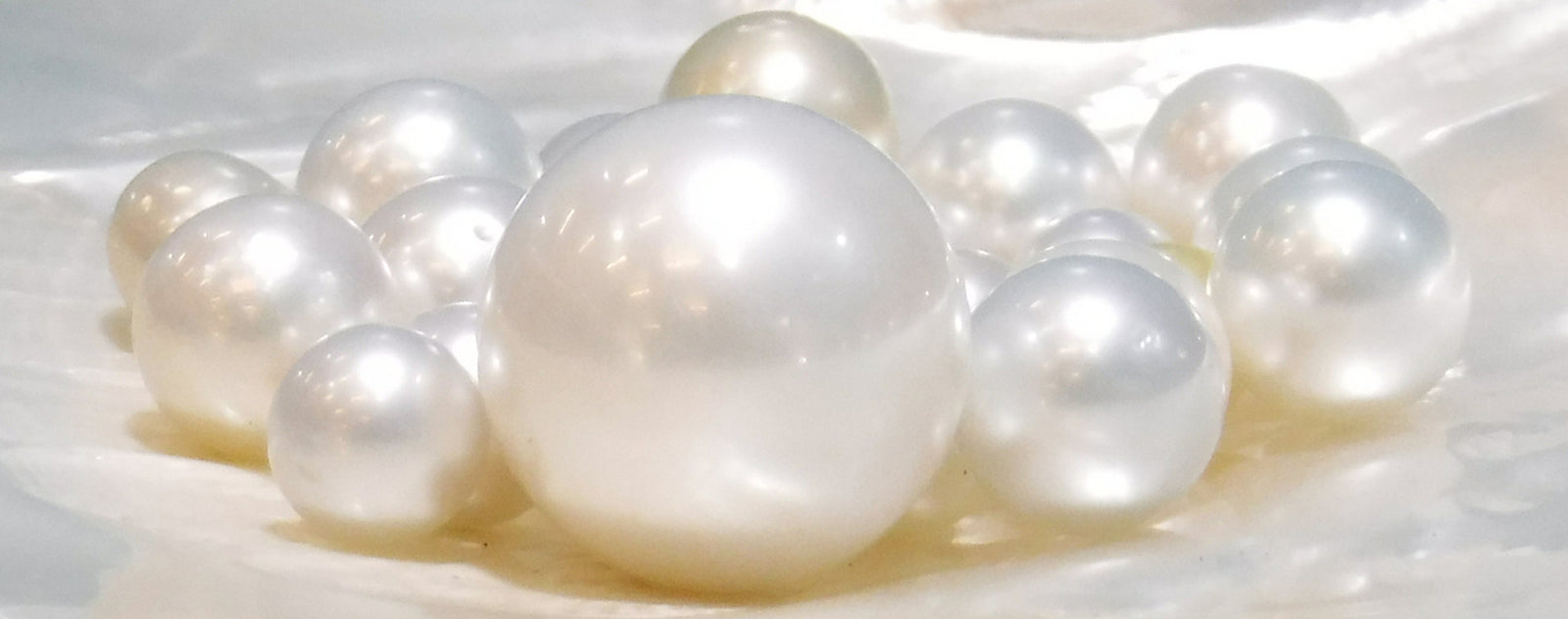 Grosses Perles d'Eau Douce